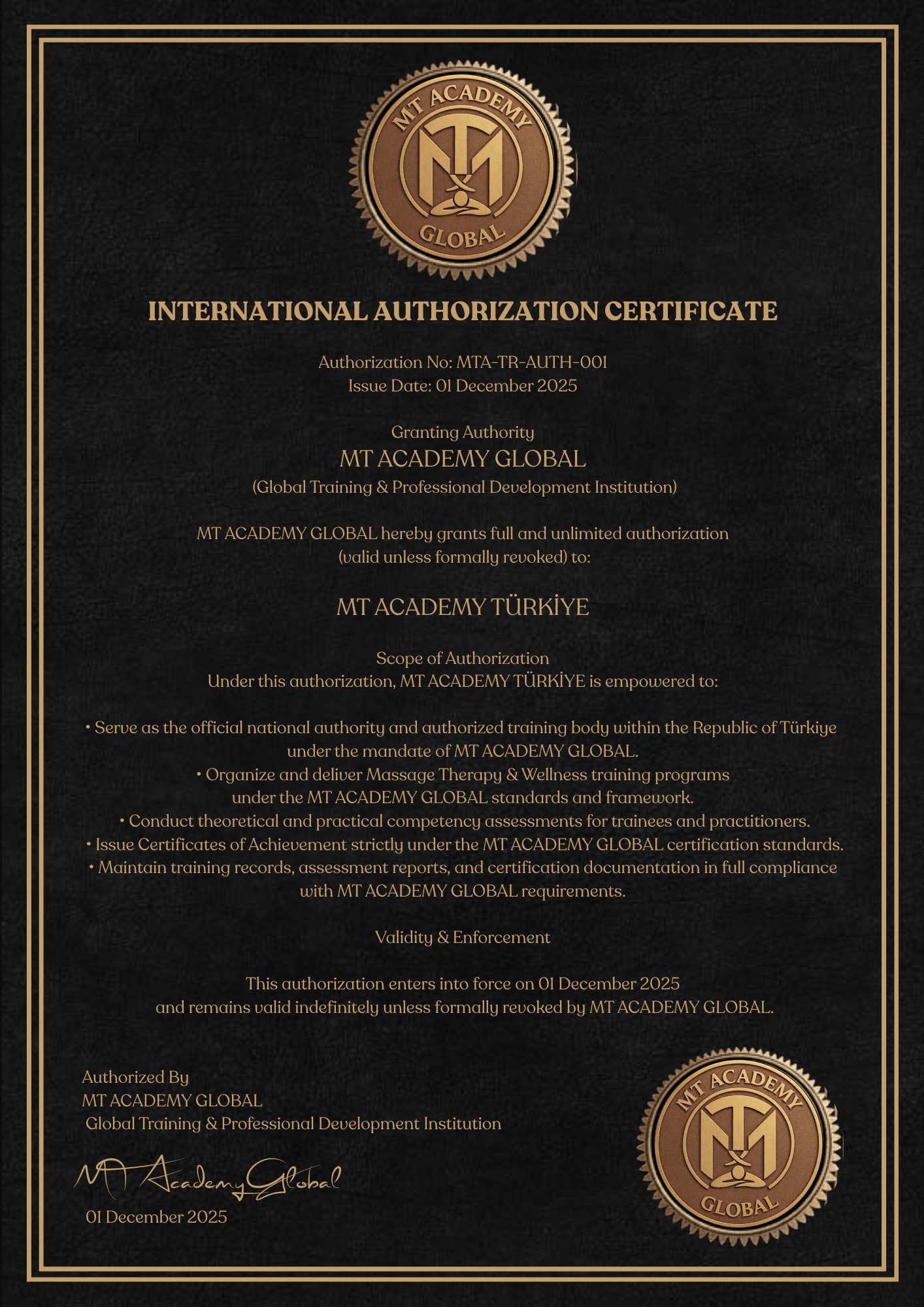 MT ACADEMY TÜRKİYE scape