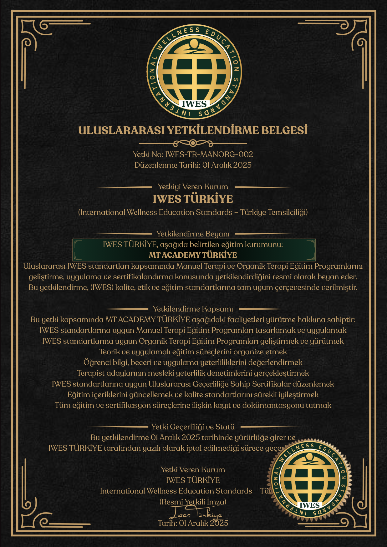 IWES TÜRKİYE MT ACADEMY TÜRKİYE MANUAL TERAPİ